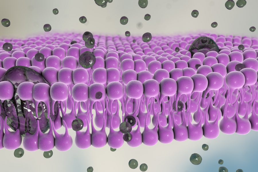 Using Single Step Atmospheric‐Pressure Plasma To Fabricate Biosensors