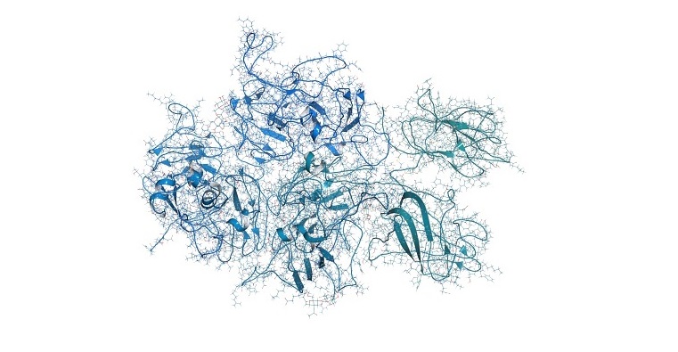 First Study on Cold Atmospheric Plasma Treatment of ‘Dry’ Amino Acids