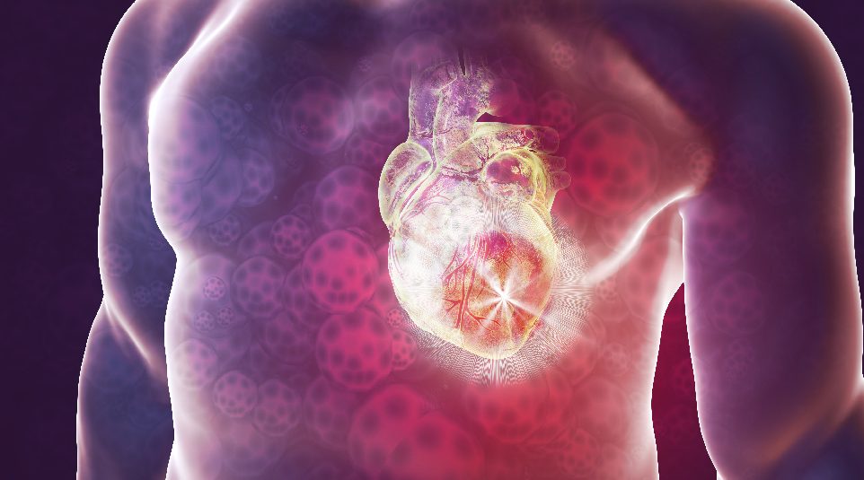 Injectable Hydrogel Composite against Heart Attack