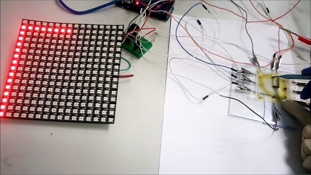 Photosynthetic Biosensor for Touch Perception, UV-Detection, and Nanopower Generation [Video]