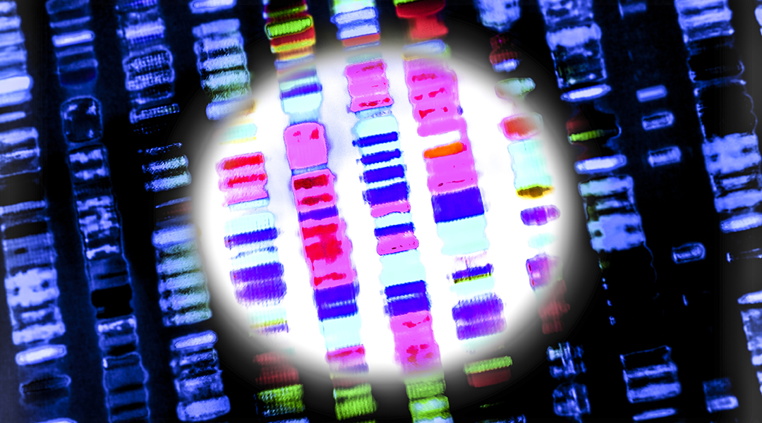 Synthesis and Degradation of RNAs: A Fundamental Aspect of Gene Regulation