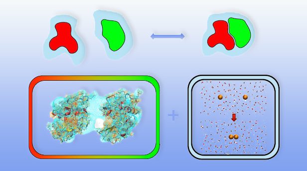 Disassembling Solvation Free Energies into Local Contributions