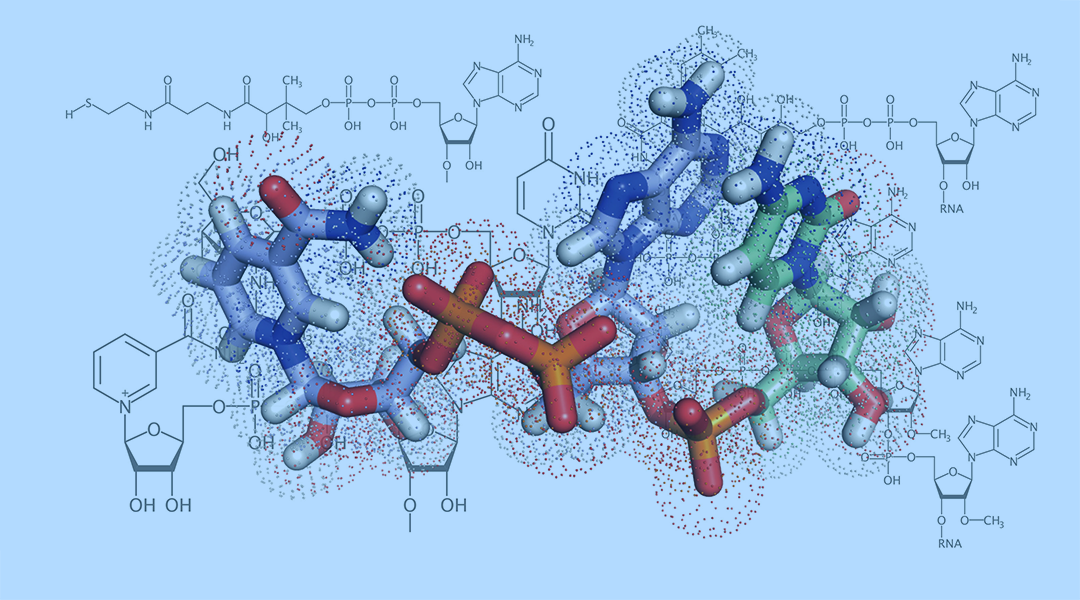 Noncanonical Features and Modifications on the 5′‐End of Bacterial sRNAs and mRNAs