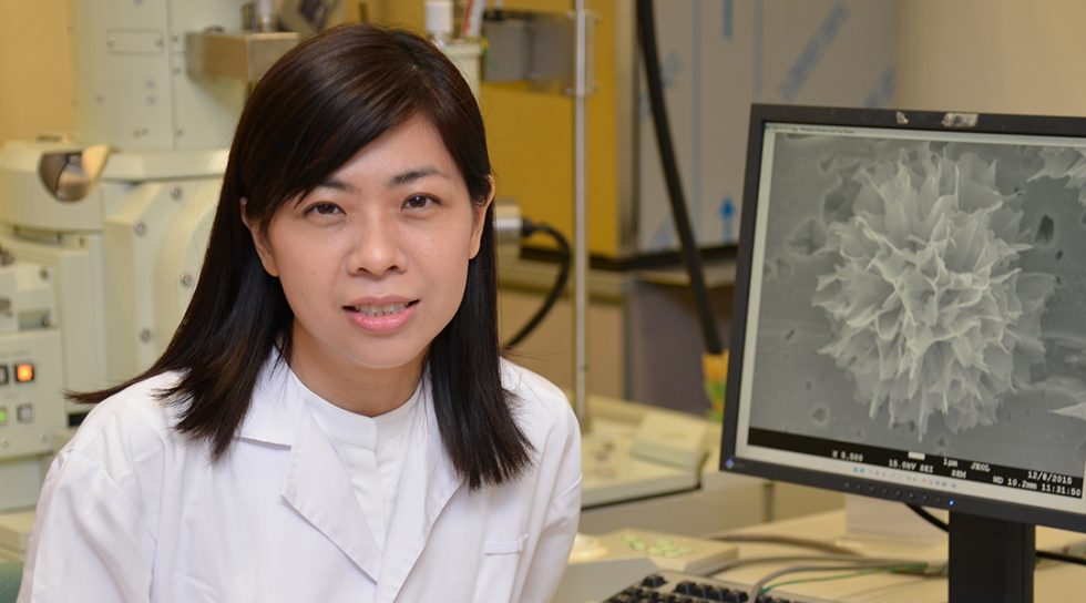 Prof. Ghim Wei Ho on Research for a Sustainable World Advanced