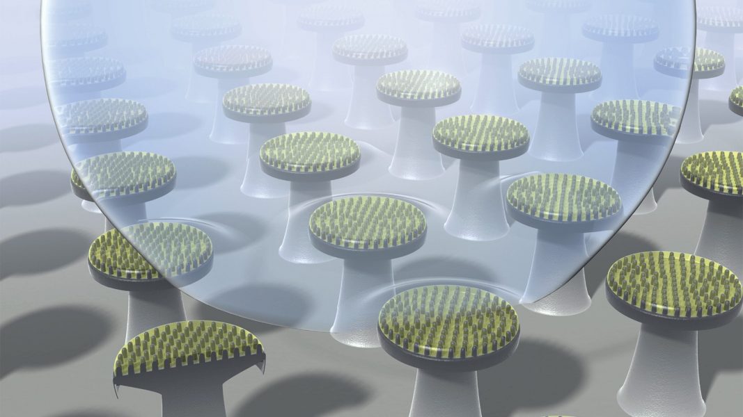 3D Nanoprinting Super-Repellent Surfaces [Video]