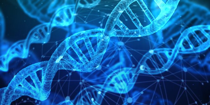 The DDX5/Dbp2 Subfamily of DEAD-box RNA Helicases