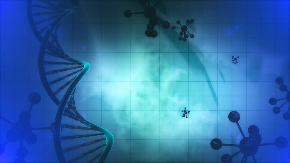 Lighting Up The Nanoscale Chromatin Structure