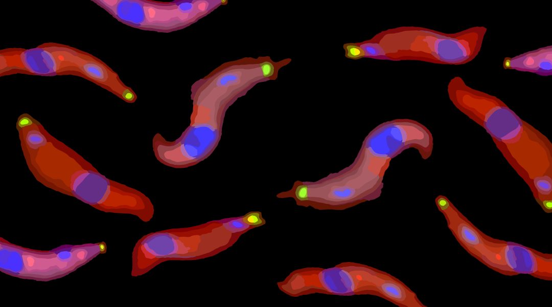 The Complex Enzymology Of mRNA Decapping