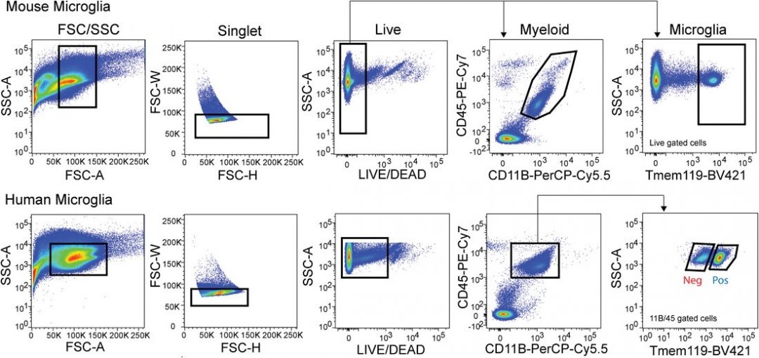 The Evolution of RNA Structural Probing Methods