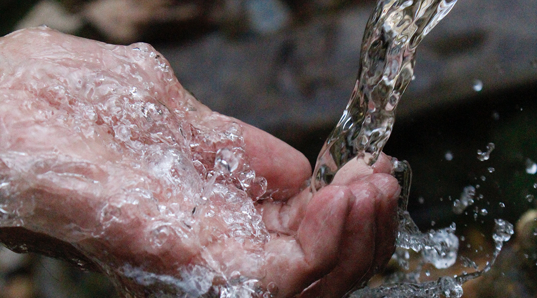 Nanofilter for Quick and Clean Water