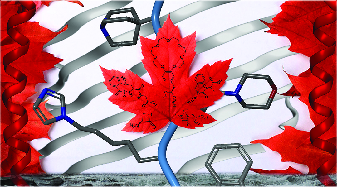 Emerging Peptide Science in Canada