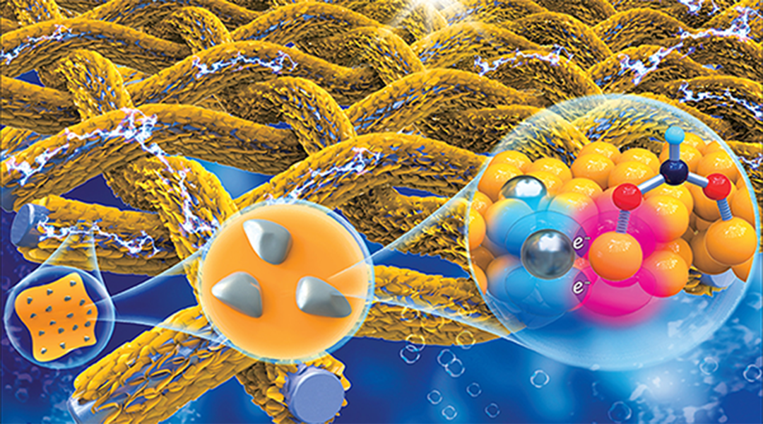 Converting Carbon Dioxide to Formate with a Highly Selective Electrocatalyst [Video]