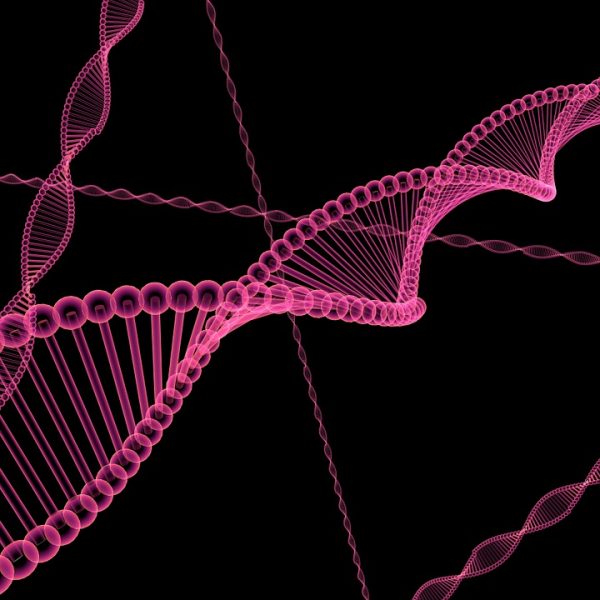 RNAs in the Spliceosome: Insights from CryoEM Structures