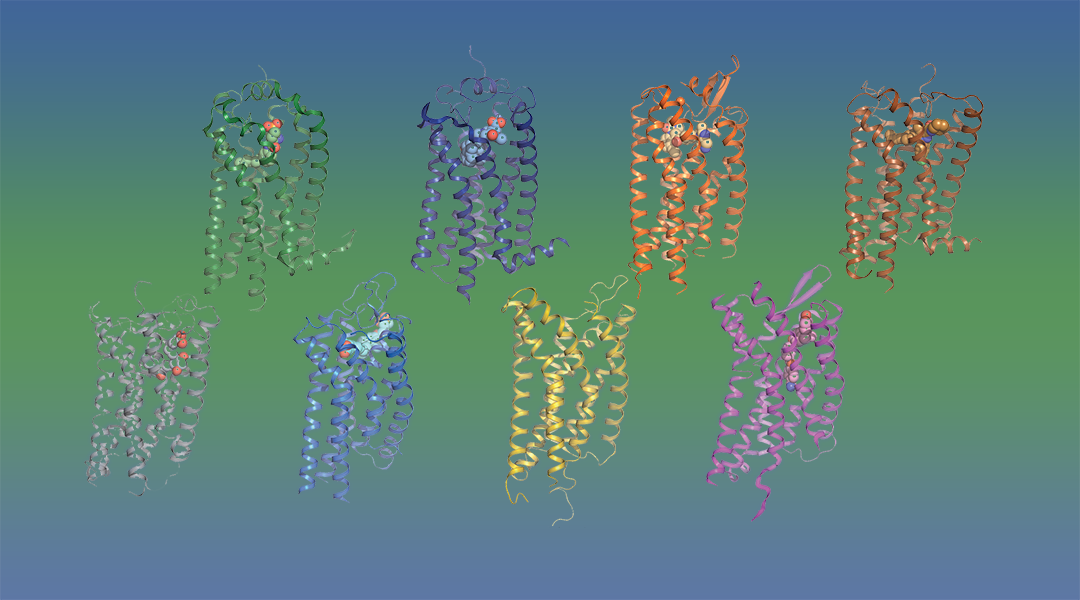 Accelerating Drug Discovery for Targeting G Protein-Coupled Receptors