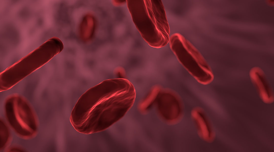 Biomorphic Red Blood Cells for Photodynamic Therapy