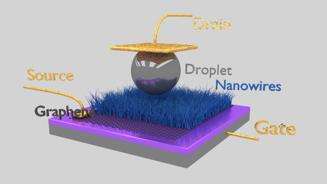 Sensing Force by Controlling Wettability [Video]