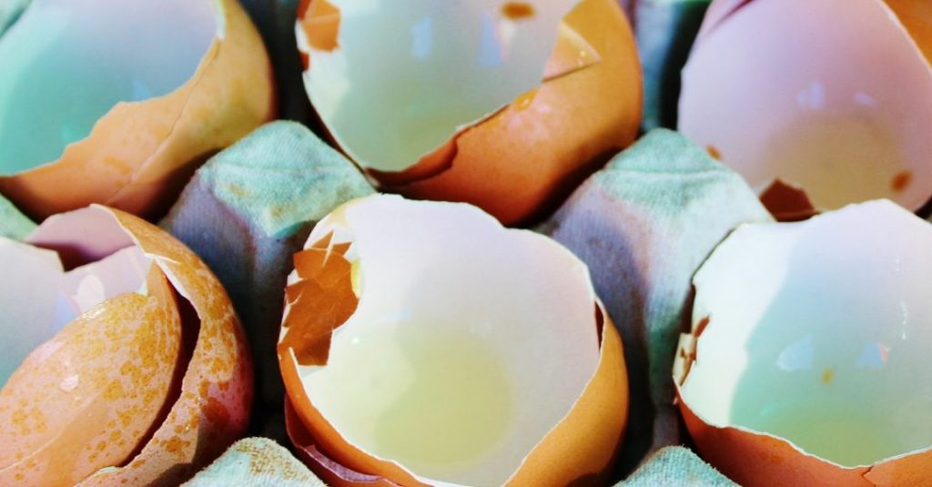 Storing Energy With Egg Shells Advanced Science News