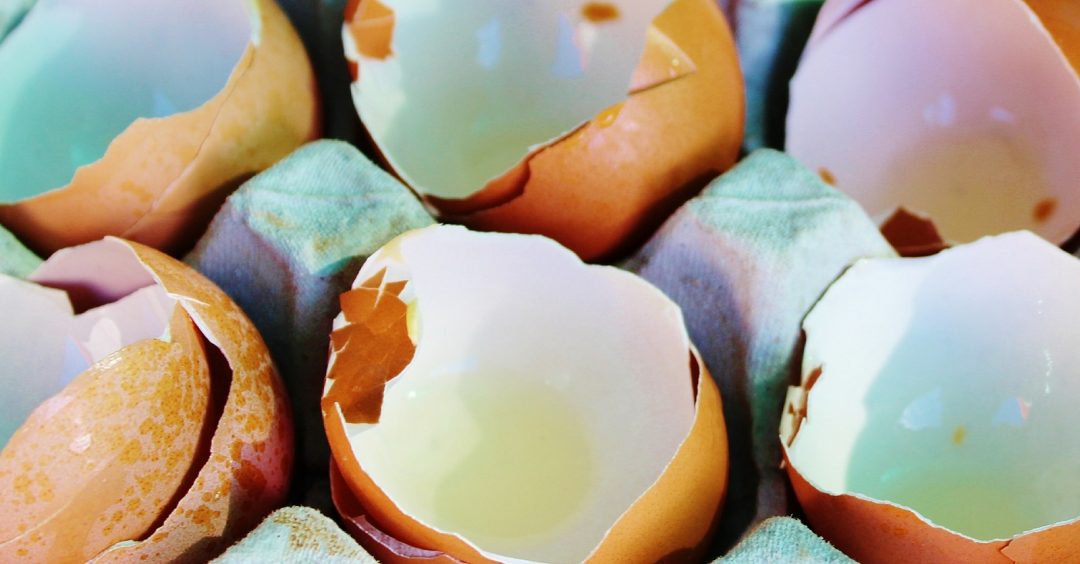 Storing Energy With Egg Shells