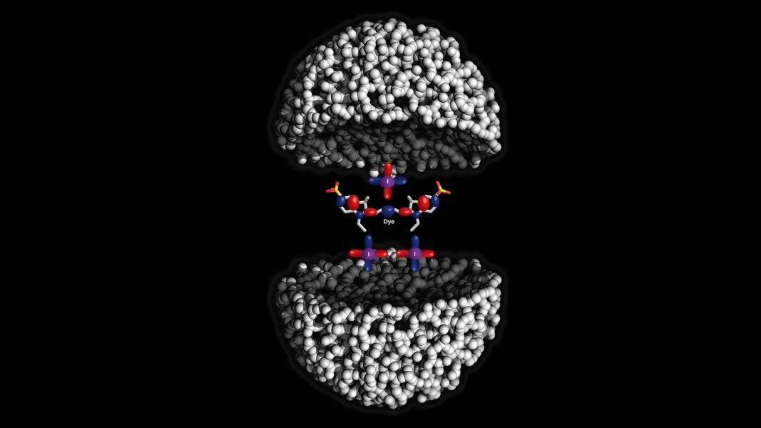 Quantum Nanomaterials for Ultraefficient Medicial Probes [Video]