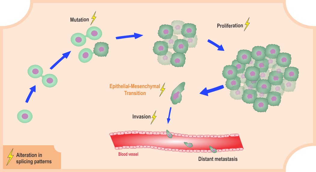 RNA and Cancer Biology