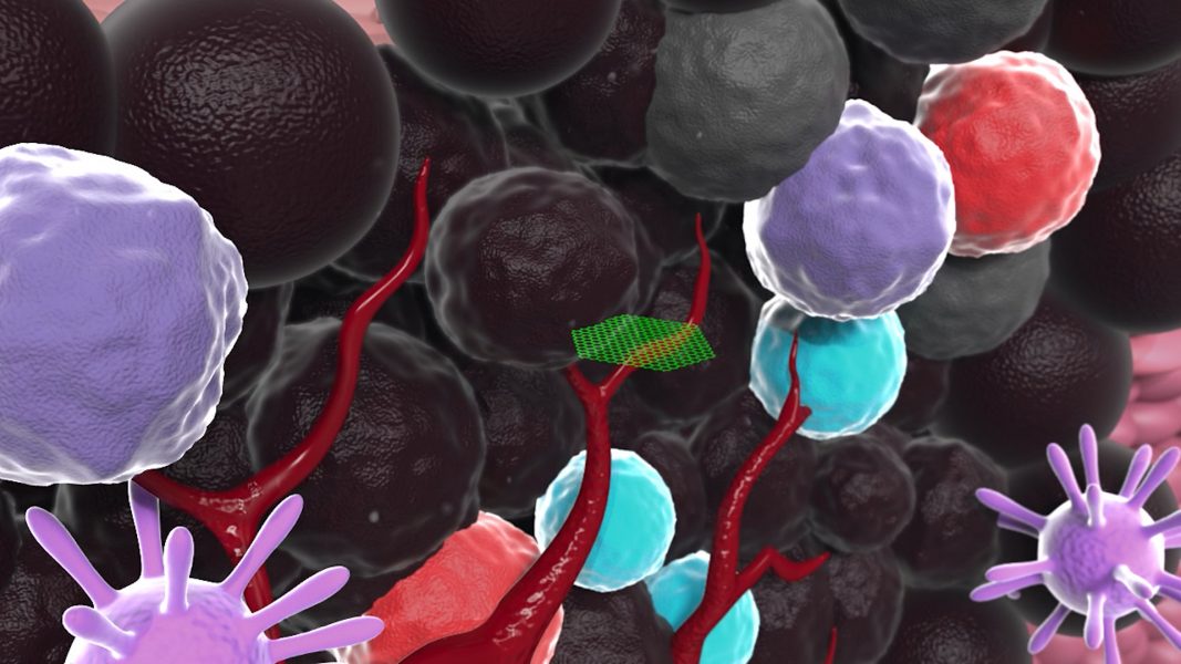 Tumor-Targeting Nanoprobe with a Novel Cell Membrane Permeability Mechanism [Video]