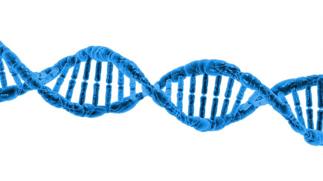 The Tandem Zinc Finger RNA Binding Domain of Members of the Tristetraprolin (TTP) Protein Family