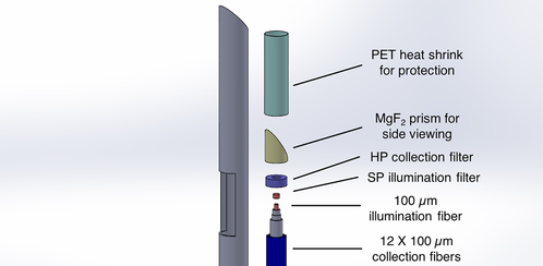 Raman Spectroscopy Guidance System Integrated with a Brain Biopsy Needle