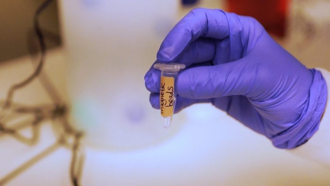 Improving the Sensitivity of Fluorescence-based Immunoassays [Video]