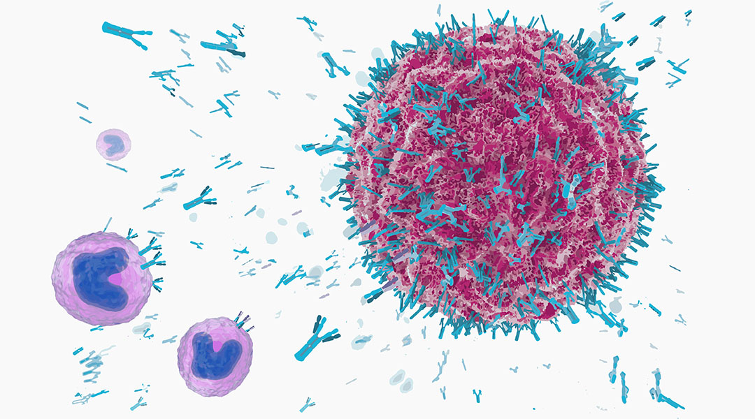 Antibody and Antibody Derivatives as Cancer Therapeutics