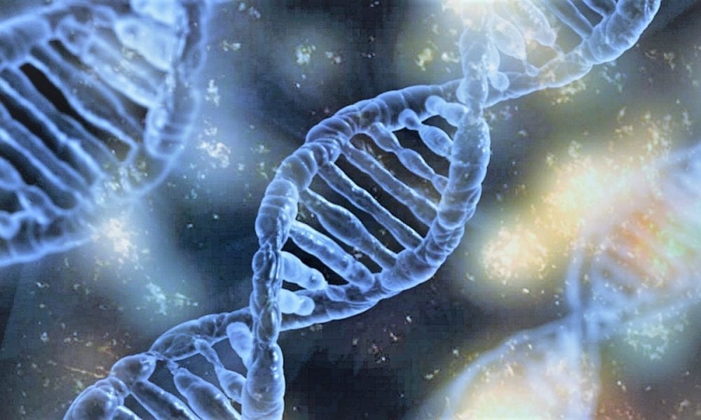 DNA Nanotechnology Goes Biomedical Advanced Science News