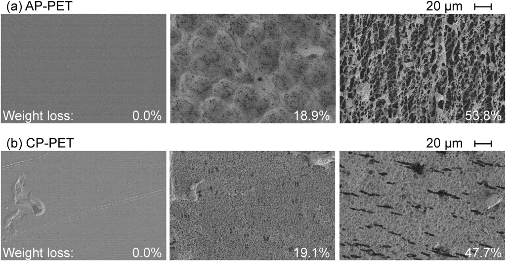 Biodegradation of Plastic Waste - Advanced Science News