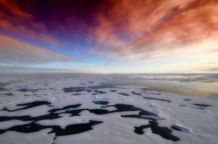 Atmospheric Moisture Transport and Arctic Sea Ice Decline