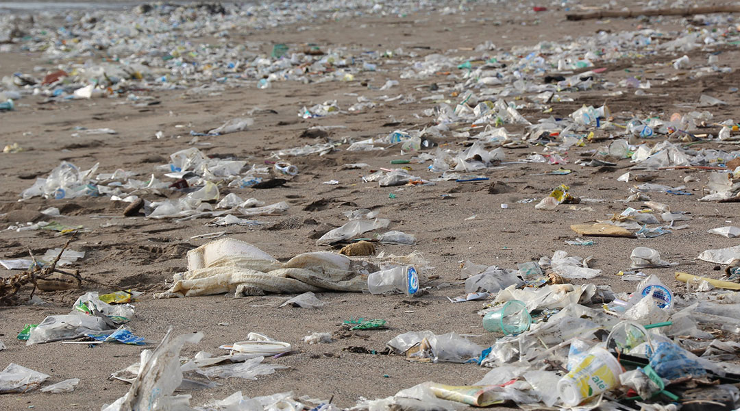 Biodegradation of Plastic Waste