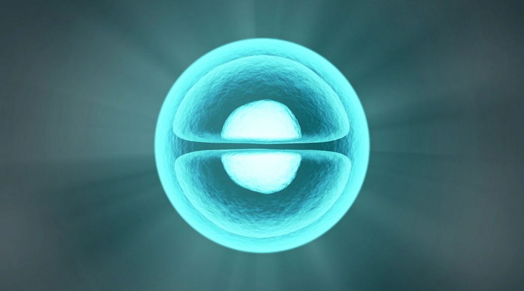 Classical and Emerging Techniques to Identify and Quantify Localized RNAs