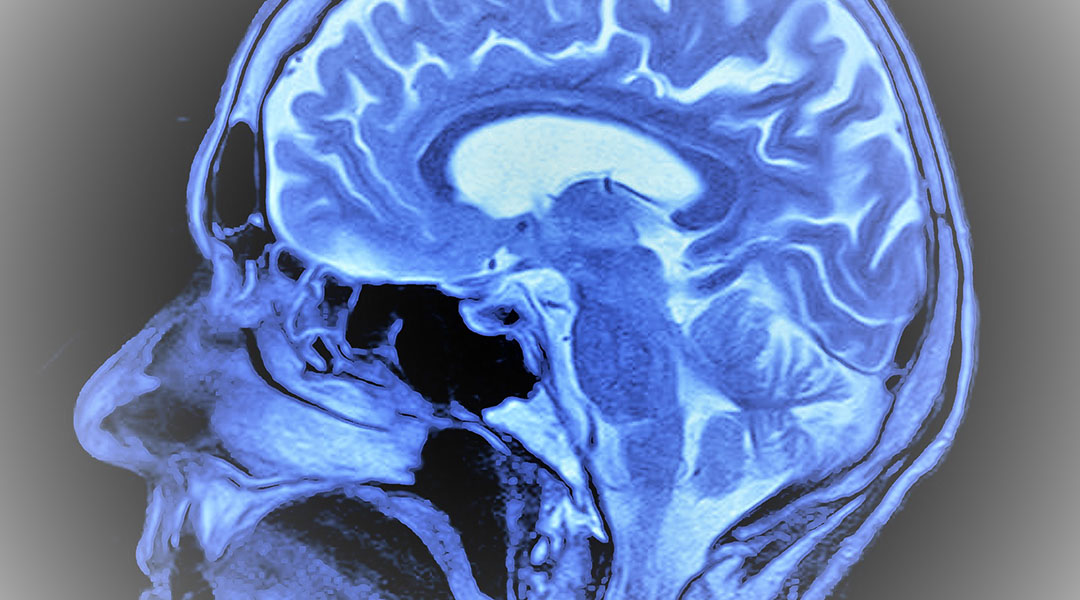 “Snap-Reading” Diagnostic Tool for Real-Time Tumor Identification