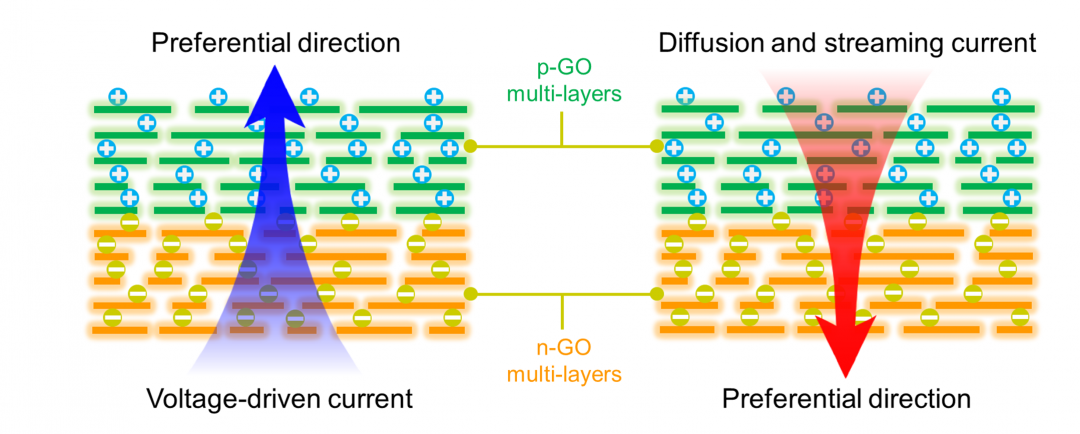 2D Nanofluidic Heterojunctions: Electrokinetically Tunable Ion Transport