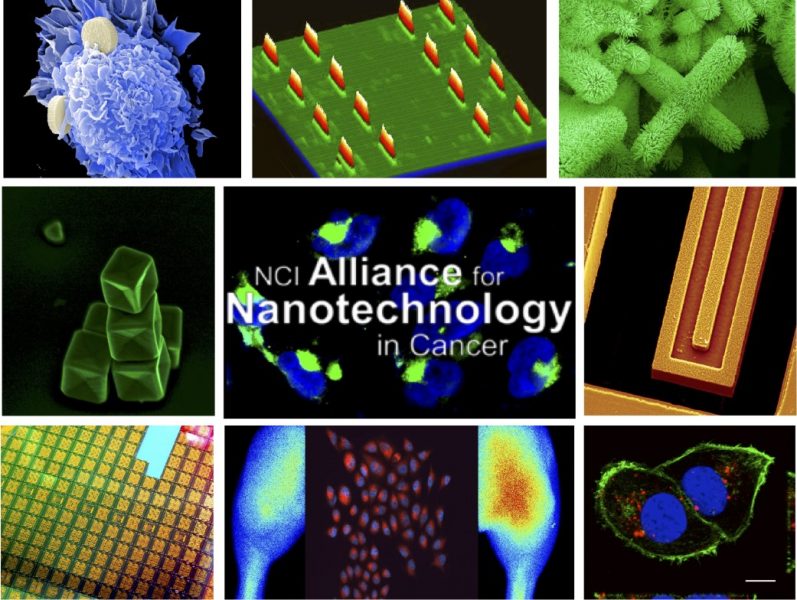 NCI Alliance for Nanotechnology in Cancer