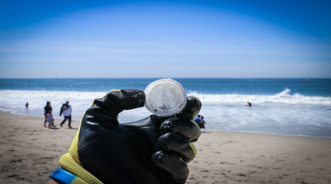 The Risk of Microplastics: Plight or Hype?