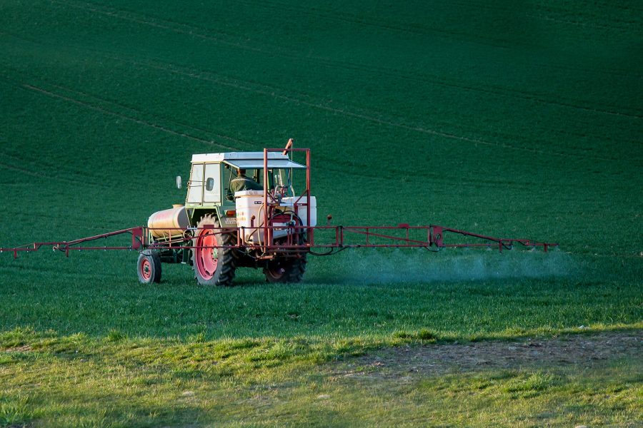 Crop Tolerance to Herbicides through Artificial Evolution