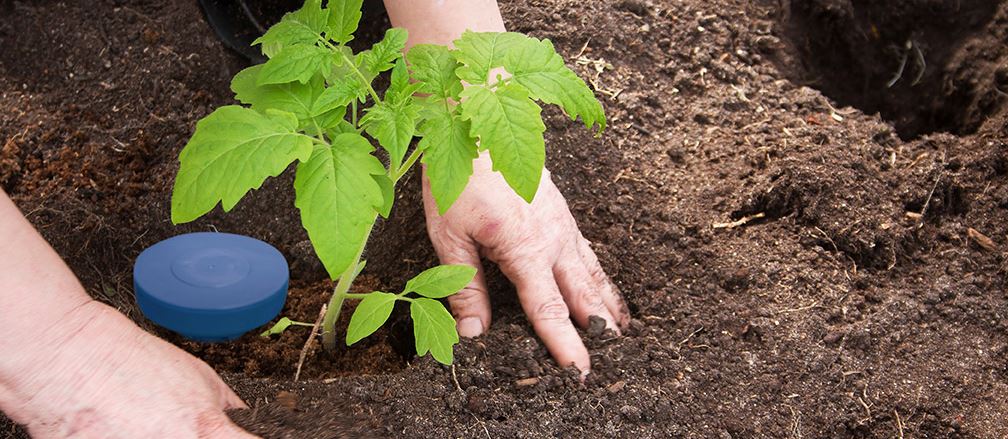 Reducing Water Waste in Agriculture Through “Smart Farming”