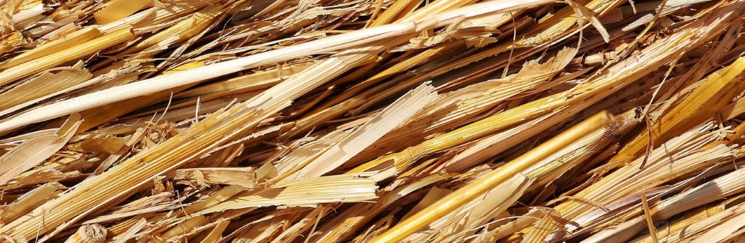 Improving Straw Paper Production