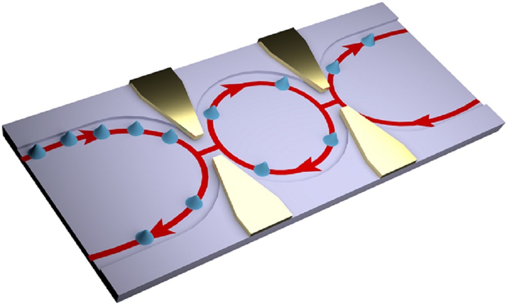 A Step Toward Quantum-Coherent Circuits