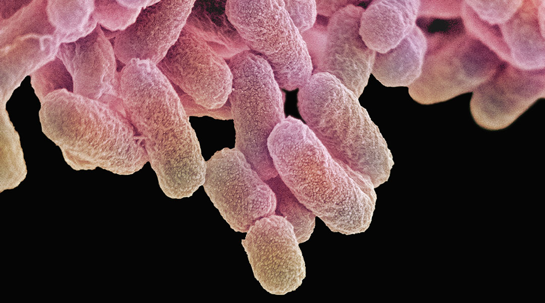 A Pill to Non-Invasively Sample the GI Tract