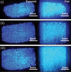 Clear Digital Fingerprint