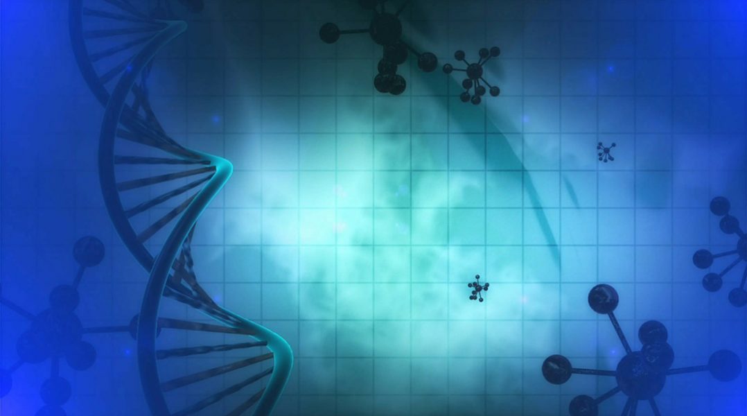 microRNA Clusters as  Markers for Cancer