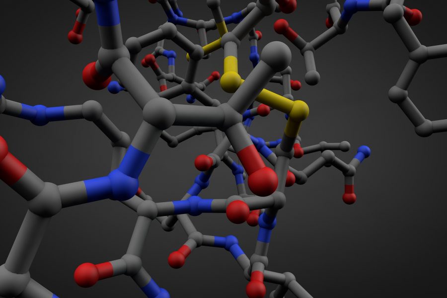 Journal of Polymer Science Innovation Awardee:  Patricia Dankers