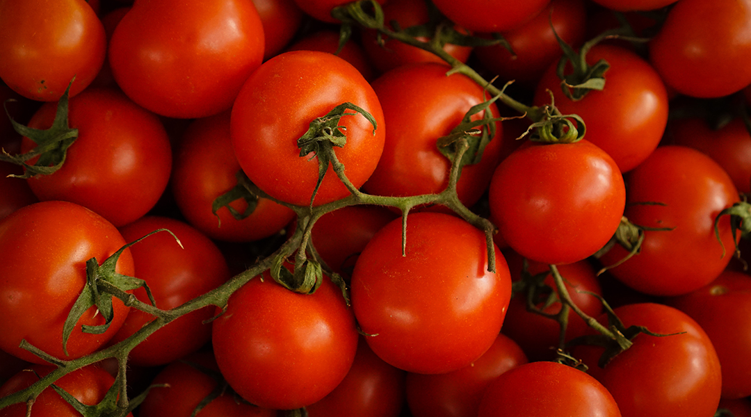 Why Tomatoes and Iron Do Not Mix