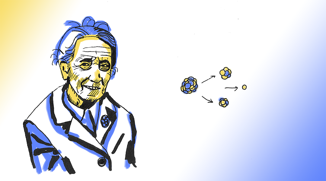 Pioneers in Science: Lise Meitner