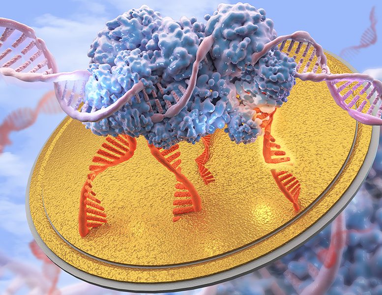 Beyond gene editing: A new role for CRISPR