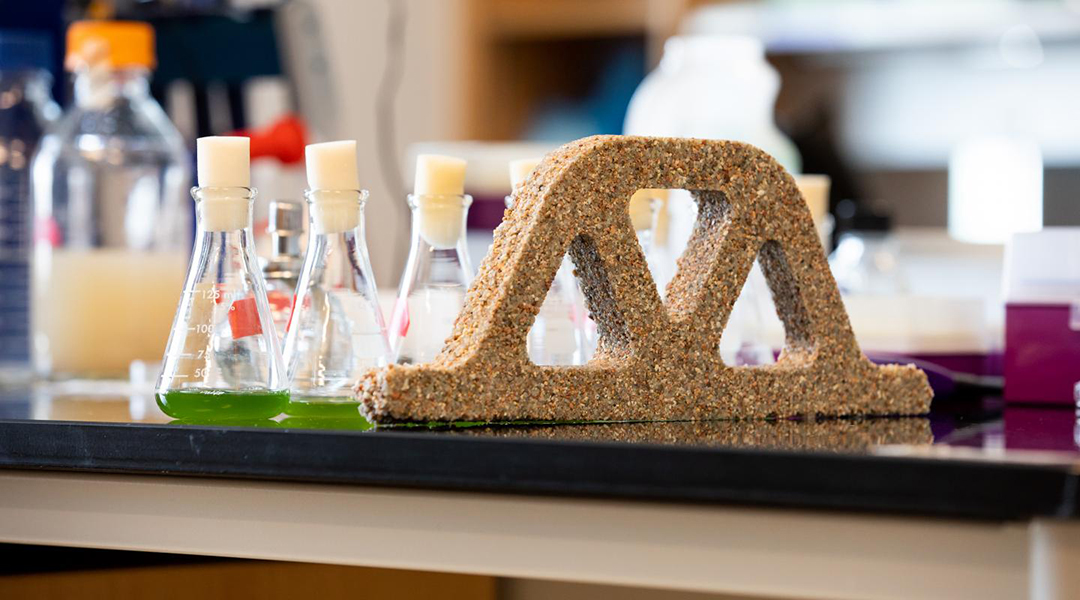 Scientists create living concrete from bacteria and sand